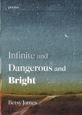 Infinite and Dangerous and Bright: Poems - Betsy James - cover