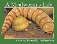 A Mealworm's Life - John Himmelman - cover