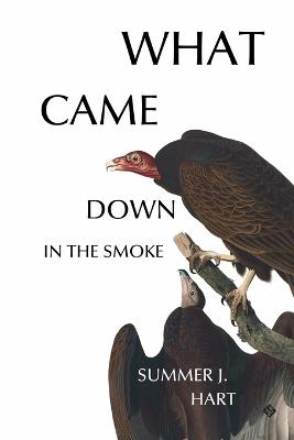 What Came Down in the Smoke - Summer J Hart - cover