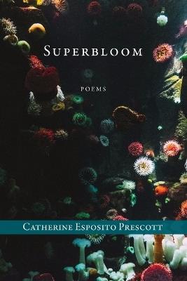 Superbloom - Catherine Esposito Prescott - cover
