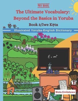 The Ultimate Vocabulary: Beyond the Basics in Yoruba - Biola Emiloluwa - cover