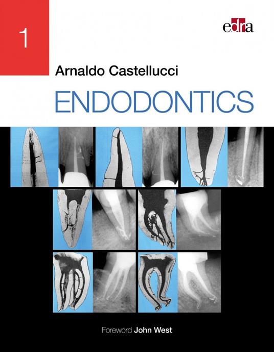Endodontics. Vol. 1 - Arnaldo Castellucci - copertina