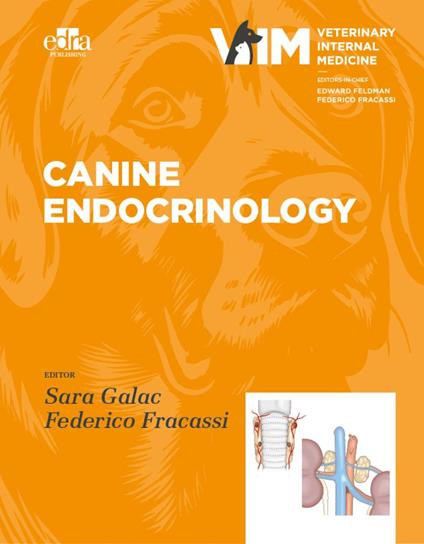 Canine Endocrinolgy - copertina