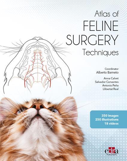 Atlas of feline surgery techniques - Alberto Barneto,Anna Calvet,Salvador Cervantes - copertina