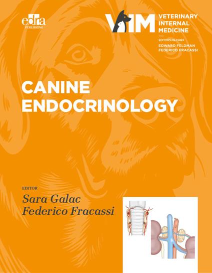 Canine Endocrinology
