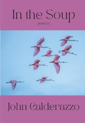 In The Soup - John Calderazzo - cover