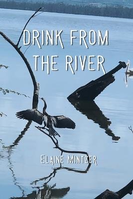 Drink From the River - Elaine Mintzer - cover