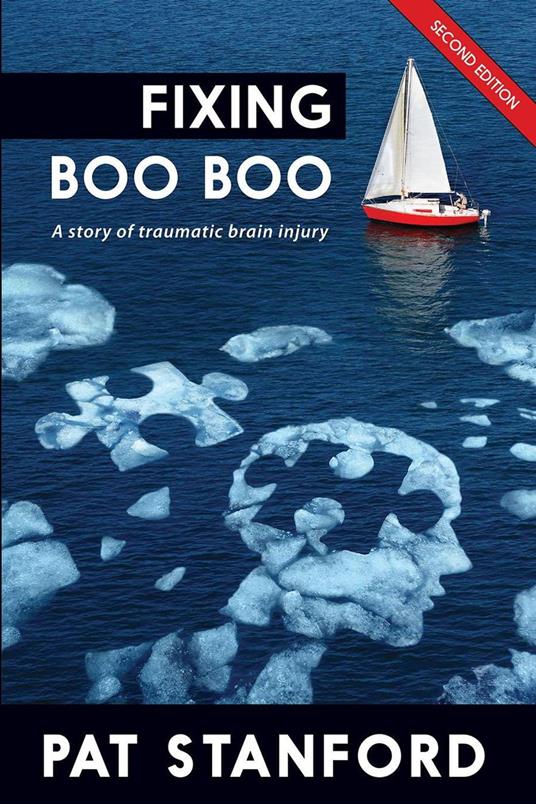 Fixing Boo Boo: A Story of Traumatic Brain Injury