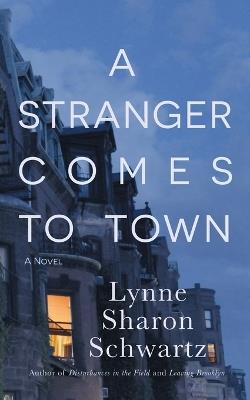 A Stranger Comes to Town - Lynne Sharon Schwartz - cover