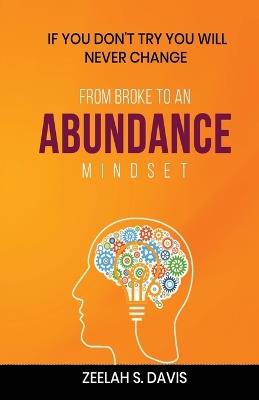 From Broke to an Abundance Mindset: If You Don't Try You Will Never Change - Zeelah S Davis - cover