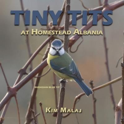 Tiny Tits at Homestead Albania - Kim Malaj - cover