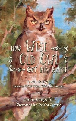 How Wise Old Owl Got His Name - Linda Laughlin - cover