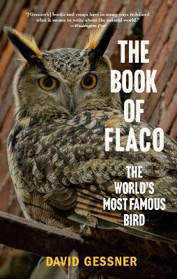 The Book of Flaco: A Parable of the Urban Wild - David Gessner - cover