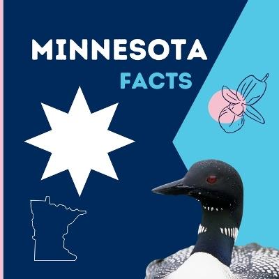 Minnesota Facts: Interesting Facts About Minnesota - Mimi Jones - cover