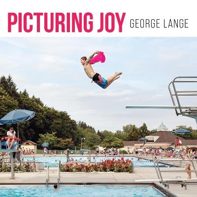 Picturing Joy: Stories of Connection - George Lange - cover