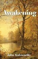 Awakening: And Indian Summer of a Forstye - John Galsworthy - cover