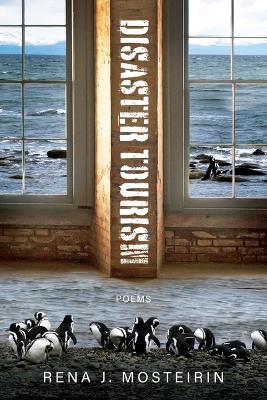 Disaster Tourism - Rena J. Mosteirin - cover