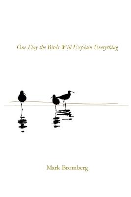 One Day the Birds Will Explain Everything - Mark Bromberg - cover