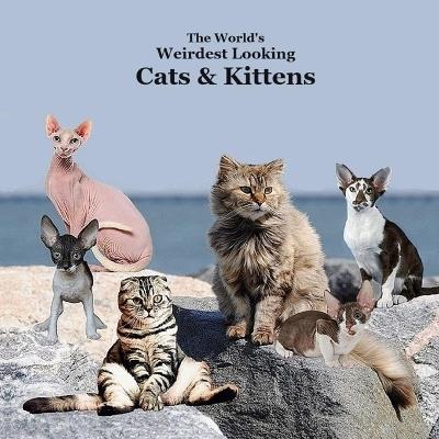 World's Weirdest Looking Cats and Kittens Kids Book: Great Way for Children to Meet the Weirdest Looking Cats and Kittens - Kinsey Marie,Billy Grinslott - cover
