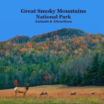 Great Smoky Mountains National Park Kids Book: Great Way for Kids to See the Animals and Attractions in Smoky Mountains National Park - Kinsey Marie,Billy Grinslott - cover