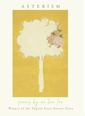 Aram's Notebook - Maria Àngels Anglada - cover