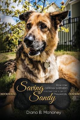 Saving Sandy - Diana B Mahoney - cover
