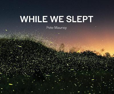 While We Slept - Pete Mauney - cover