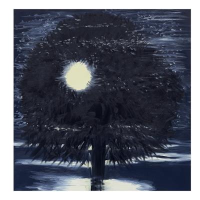 Ann Craven: Night - cover