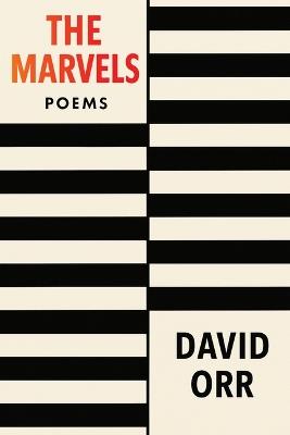 The Marvels - David Orr - cover