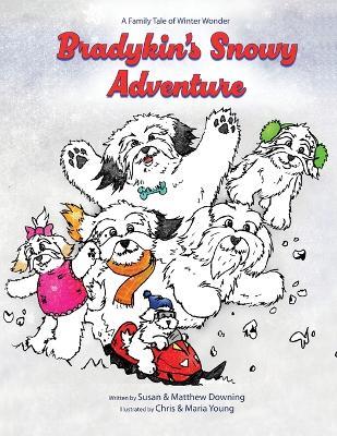 Bradykin's Snowy Adventure: A Family Tale of Winter Wonder - Susan Downing,Matthew Downing - cover