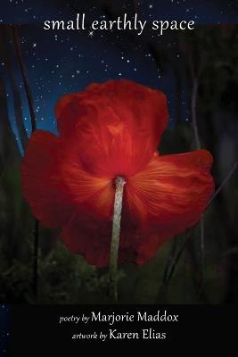Small Earthly Space - Marjorie Maddox - cover