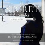 A Secret Encounter (Amish Secrets #2)
