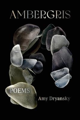 Ambergris - Amy Dryansky - cover