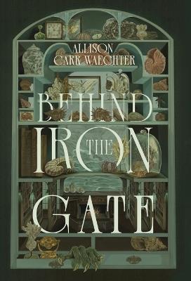 Behind the Iron Gate - Allison Carr Waechter - cover