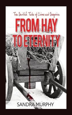 From Hay to Eternity: Ten Devilish Tales of Crime and Deception - Sandra Murphy - cover