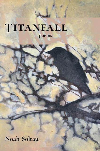 Titanfall