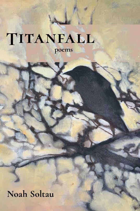 Titanfall