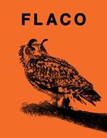 FLACO: The Owl Who Escaped Captivity and Won the Hearts of the World