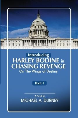 Chasing Revenge: On the Wings of Destiny - Michael a Durney - cover