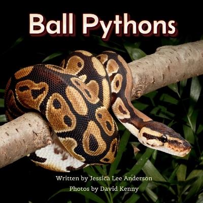 Ball Pythons - Jessica Lee Anderson - cover