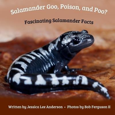 Salamander Goo, Poison, and Poo? Fascinating Salamander Facts - Jessica Lee Anderson - cover