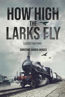 How High the Larks Fly: The harrowing but true story of a young girl fighting to survive when her world is destroyed by war (Latest Edition) - Christine Hamer-Hodges - cover