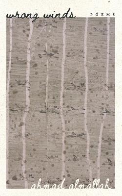 Wrong Winds - Ahmad Almallah - cover