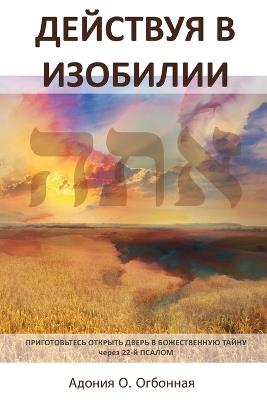 Russian Edition - Operating in Abundance - Adonijah O Ogbonnaya - cover