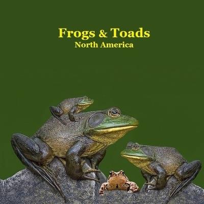 Frogs and Toads of North America Kids Book: Great Children's Book about the types of North American Frogs and Toads - Kinsey Marie,Billy Grinslott - cover
