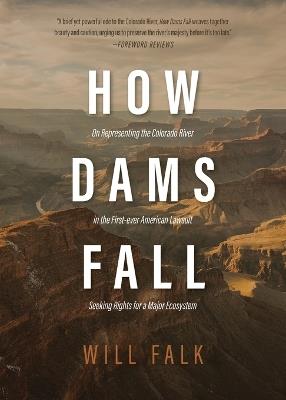 How Dams Fall - Will Falk - cover