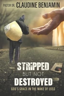 Stripped But Not Defeated: God's Grace in the Wake of Loss - Claudine Benjamin - cover