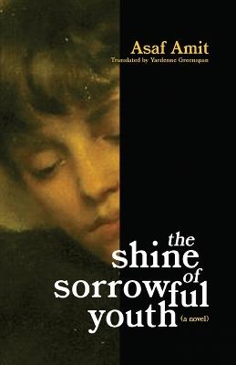 The shine of sorrowful youth - Asaf Amit - cover