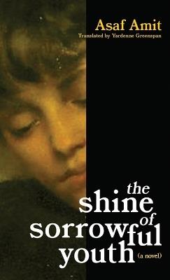 The shine of sorrowful youth - Asaf Amit - cover