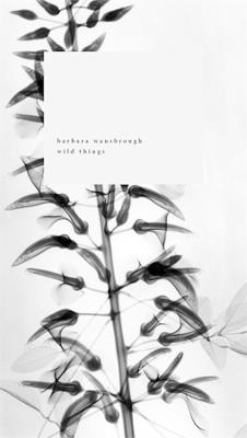 Wild Things: A Geography of Grief - Barbara Wansbrough - cover